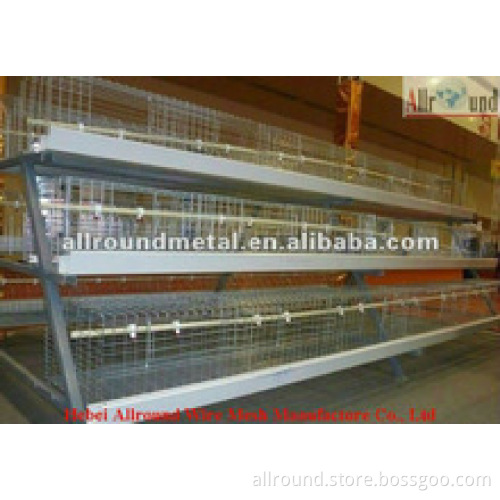 Battery pullet rearing cage in china for sale